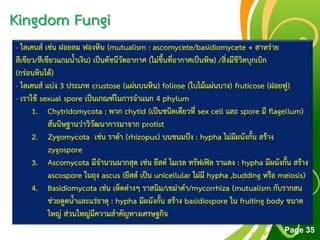 Free Powerpoint Templates
Page 35
Kingdom Fungi
- ไลเคนส์ เช่น ฝอยลม ฟองหิน (mutualism : ascomycete/basidiomycete + สาหร่าย
สีเขียว/สีเขียวแกมน้าเงิน) เป็นดัชนีวัดอากาศ (ไม่ขึ้นที่อากาศเป็นพิษ) /สิ่งมีชีวิตบุกเบิก
(กร่อนหินได้)
- ไลเคนส์ แบ่ง 3 ประเภท crustose (แผ่นบนหิน) foliose (ใบไม้แผ่นบาง) fruticose (ฝอยฟู)
- เราใช้ sexual spore เป็นเกณฑ์ในการจาแนก 4 phylum
1. Chytridomycota : พวก chytid (เป็นชนิดเดียวที่ sex cell และ spore มี flagellum)
สันนิษฐานว่าวิวัฒนาการมาจาก protist
2. Zygomycota เช่น ราดา (rhizopus) บนขนมปัง : hypha ไม่มีผนังกั้น สร้าง
zygospore
3. Ascomycota มีจานวนมากสุด เช่น ยีสต์ โมเรล ทรัฟเฟิล ราแดง : hypha มีผนังกั้น สร้าง
ascospore ในถุง ascus (ยีสต์ เป็น unicellular ไม่มี hypha ,budding หรือ meiosis)
4. Basidiomycota เช่น เห็ดต่างๆ ราสนิม/เขม่าดา/mycorrhiza (mutualism กับรากสน
ช่วยดูดน้าและแร่ธาตุ : hypha มีผนังกั้น สร้าง basidiospore ใน fruiting body ขนาด
ใหญ่ ส่วนใหญ่มีความสาคัญทางเศรษฐกิจ
 