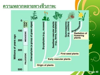 Free Powerpoint Templates
Page 40
ความหลากหลายทางชีวภาพ:
 