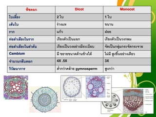 Free Powerpoint Templates
Page 45
พืชดอก Dicot Monocot
ใบเลี้ยง 2 ใบ 1 ใบ
เส้นใบ ร่างแห ขนาน
ราก แก้ว ฝอย
ท่อลาเลียงในราก เรียงตัวเป็นแฉก เรียงตัวเป็นวงกลม
ท่อลาเลียงในลาต้น เรียงเป็นวงอย่างมีระเบียบ จัดเป็นกลุ่มกระจัดกระจาย
Cambium มี ขยายขนาดด้านข้างได้ ไม่มี สูงขึ้นอย่างเดียว
จานวนกลีบดอก 4X .5X 3X
วิวัฒนาการ ต่ากว่าคล้าย gymnosperm สูงกว่า
 