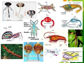 Free Powerpoint Templates
Page 58
 