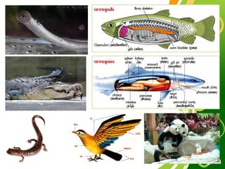 Free Powerpoint Templates
Page 64
 