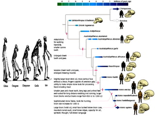 Free Powerpoint Templates
Page 70
 