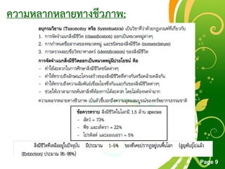 Free Powerpoint Templates
Page 9
ความหลากหลายทางชีวภาพ:
 