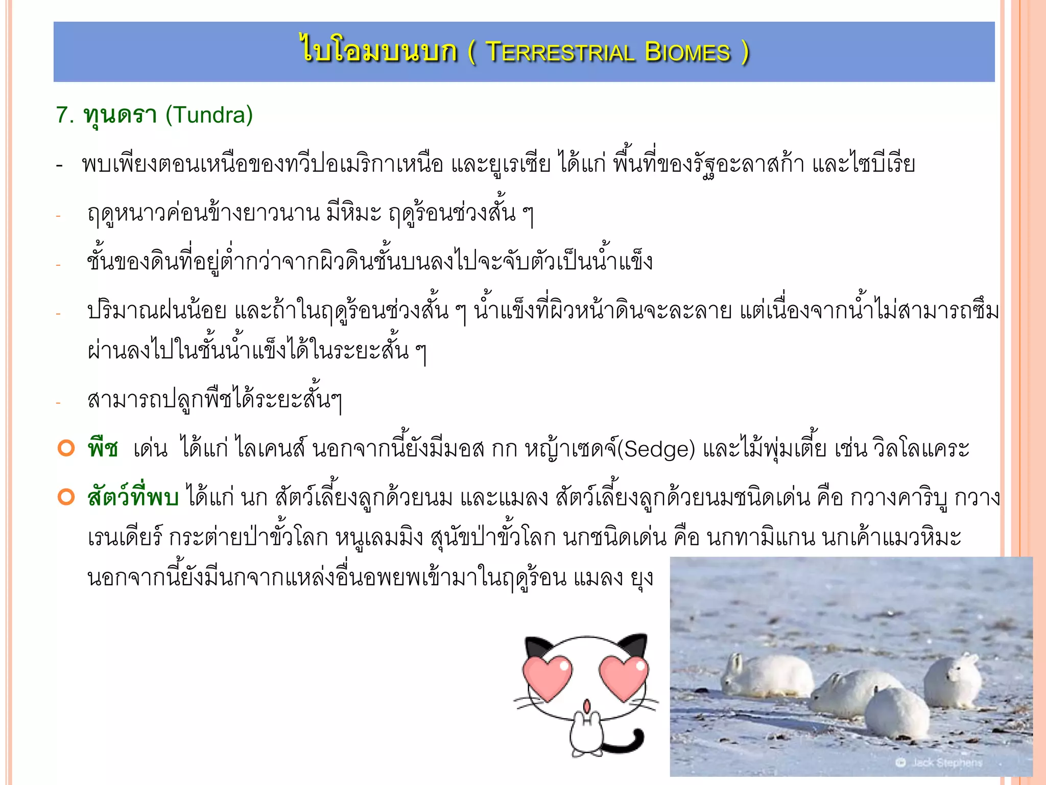 7. ทุนดรา (Tundra)
- พบเพียงตอนเหนือของทวีปอเมริกาเหนือ และยูเรเซีย ได้แก่ พื้นที่ของรัฐอะลาสก้า และไซบีเรีย
- ฤดูหนาวค่อนข้างยาวนาน มีหิมะ ฤดูร้อนช่วงสั้น ๆ
- ชั้นของดินที่อยู่ต่ากว่าจากผิวดินชั้นบนลงไปจะจับตัวเป็นน้าแข็ง
- ปริมาณฝนน้อย และถ้าในฤดูร้อนช่วงสั้น ๆ น้าแข็งที่ผิวหน้าดินจะละลาย แต่เนื่องจากน้าไม่สามารถซึม
ผ่านลงไปในชั้นน้าแข็งได้ในระยะสั้น ๆ
- สามารถปลูกพืชได้ระยะสั้นๆ
 พืช เด่น ได้แก่ ไลเคนส์ นอกจากนี้ยังมีมอส กก หญ้าเซดจ์(Sedge) และไม้พุ่มเตี้ย เช่น วิลโลแคระ
 สัตว์ที่พบ ได้แก่ นก สัตว์เลี้ยงลูกด้วยนม และแมลง สัตว์เลี้ยงลูกด้วยนมชนิดเด่น คือ กวางคาริบู กวาง
เรนเดียร์ กระต่ายป่าขั้วโลก หนูเลมมิง สุนัขป่าขั้วโลก นกชนิดเด่น คือ นกทามิแกน นกเค้าแมวหิมะ
นอกจากนี้ยังมีนกจากแหล่งอื่นอพยพเข้ามาในฤดูร้อน แมลง ยุง
ไบโอมบนบก ( TERRESTRIAL BIOMES )
 