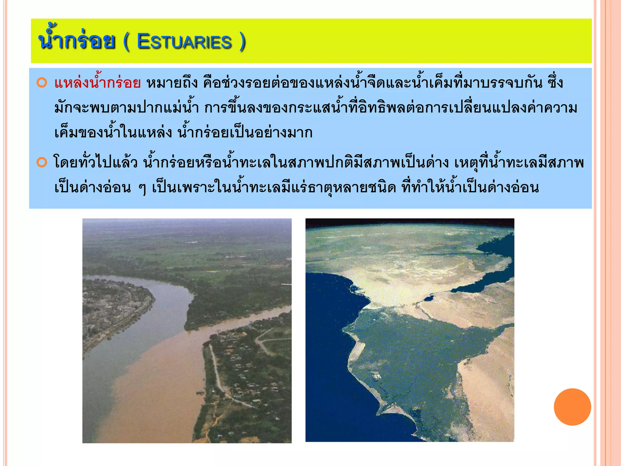 น้ากร่อย ( ESTUARIES )
 แหล่งน้ากร่อย หมายถึง คือช่วงรอยต่อของแหล่งน้าจืดและน้าเค็มที่มาบรรจบกัน ซึ่ง
มักจะพบตามปากแม่น้า การขึ้นลงของกระแสน้าที่อิทธิพลต่อการเปลี่ยนแปลงค่าความ
เค็มของน้าในแหล่ง น้ากร่อยเป็นอย่างมาก
 โดยทั่วไปแล้ว น้ากร่อยหรือน้าทะเลในสภาพปกติมีสภาพเป็นด่าง เหตุที่น้าทะเลมีสภาพ
เป็นด่างอ่อน ๆ เป็นเพราะในน้าทะเลมีแร่ธาตุหลายชนิด ที่ทาให้น้าเป็นด่างอ่อน
 