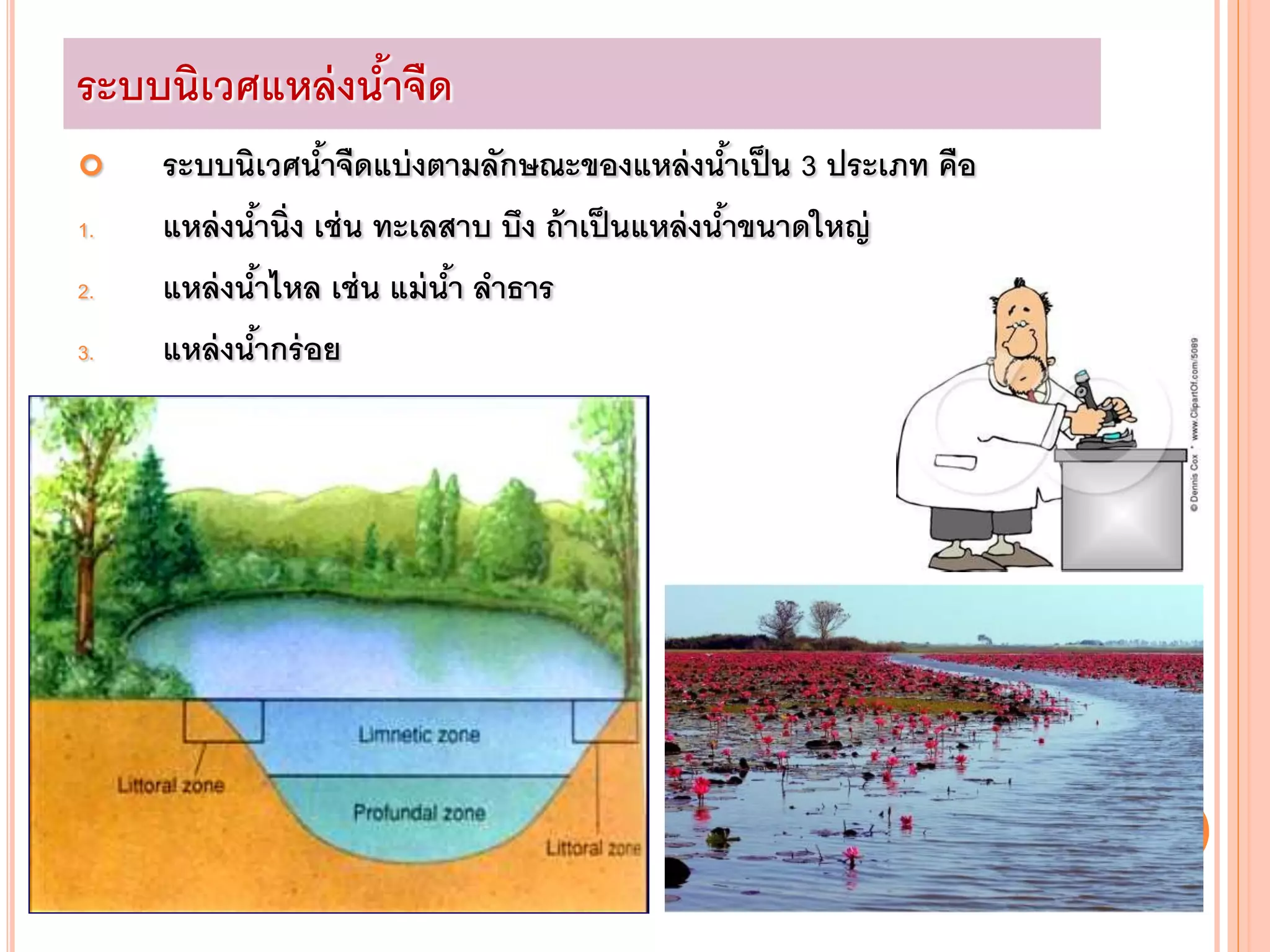 ระบบนิเวศแหล่งน้าจืด
 ระบบนิเวศน้าจืดแบ่งตามลักษณะของแหล่งน้าเป็น 3 ประเภท คือ
1. แหล่งน้านิ่ง เช่น ทะเลสาบ บึง ถ้าเป็นแหล่งน้าขนาดใหญ่
2. แหล่งน้าไหล เช่น แม่น้า ลาธาร
3. แหล่งน้ากร่อย
 