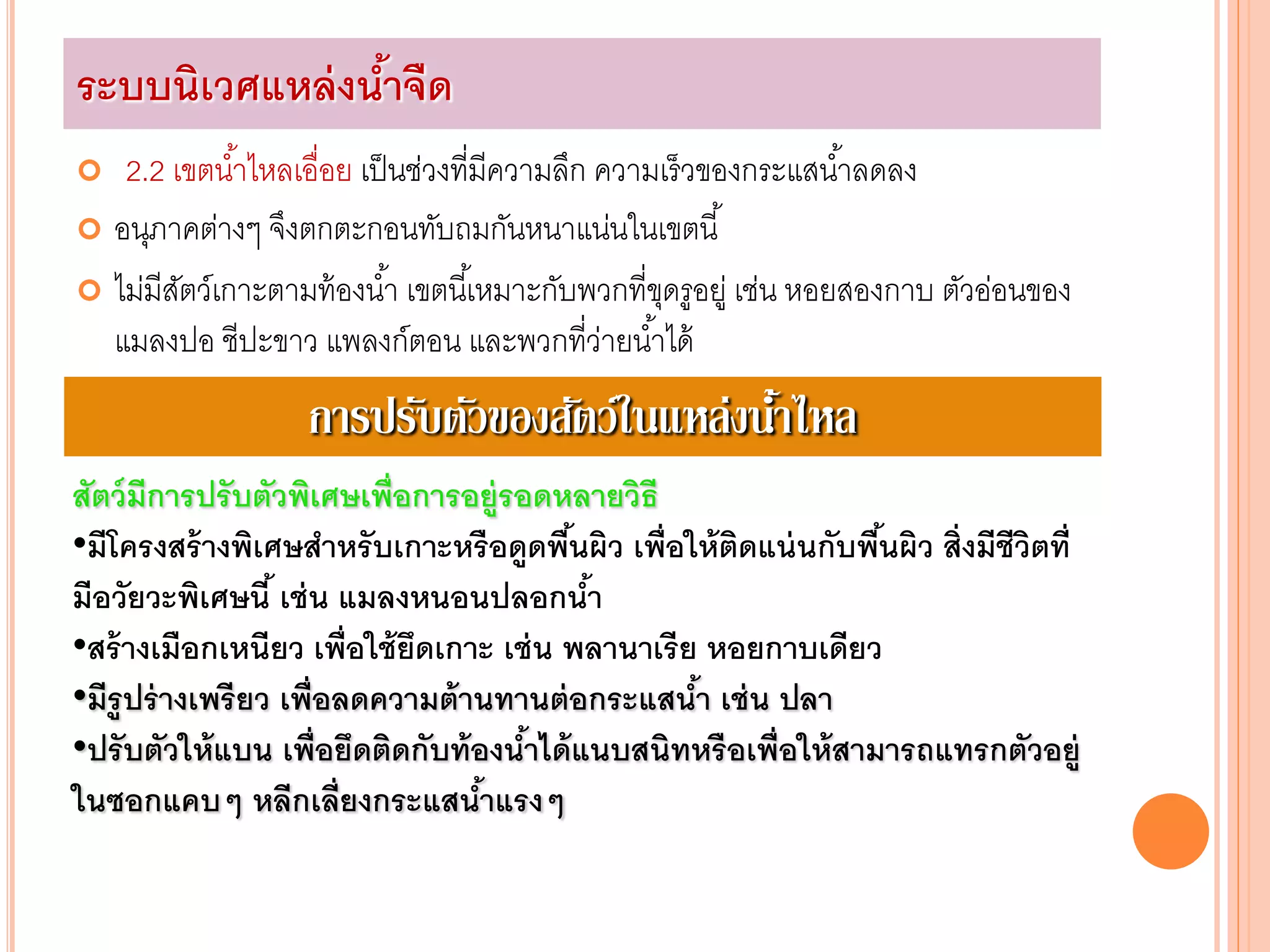 2.2 เขตน้าไหลเอื่อย เป็นช่วงที่มีความลึก ความเร็วของกระแสน้าลดลง
 อนุภาคต่างๆ จึงตกตะกอนทับถมกันหนาแน่นในเขตนี้
 ไม่มีสัตว์เกาะตามท้องน้า เขตนี้เหมาะกับพวกที่ขุดรูอยู่ เช่น หอยสองกาบ ตัวอ่อนของ
แมลงปอ ชีปะขาว แพลงก์ตอน และพวกที่ว่ายน้าได้
ระบบนิเวศแหล่งน้าจืด
การปรับตัวของสัตว์ในแหล่งน้าไหล
สัตว์มีการปรับตัวพิเศษเพื่อการอยู่รอดหลายวิธี
•มีโครงสร้างพิเศษสาหรับเกาะหรือดูดพื้นผิว เพื่อให้ติดแน่นกับพื้นผิว สิ่งมีชีวิตที่
มีอวัยวะพิเศษนี้ เช่น แมลงหนอนปลอกน้า
•สร้างเมือกเหนียว เพื่อใช้ยึดเกาะ เช่น พลานาเรีย หอยกาบเดียว
•มีรูปร่างเพรียว เพื่อลดความต้านทานต่อกระแสน้า เช่น ปลา
•ปรับตัวให้แบน เพื่อยึดติดกับท้องน้าได้แนบสนิทหรือเพื่อให้สามารถแทรกตัวอยู่
ในซอกแคบๆ หลีกเลี่ยงกระแสน้าแรงๆ
 