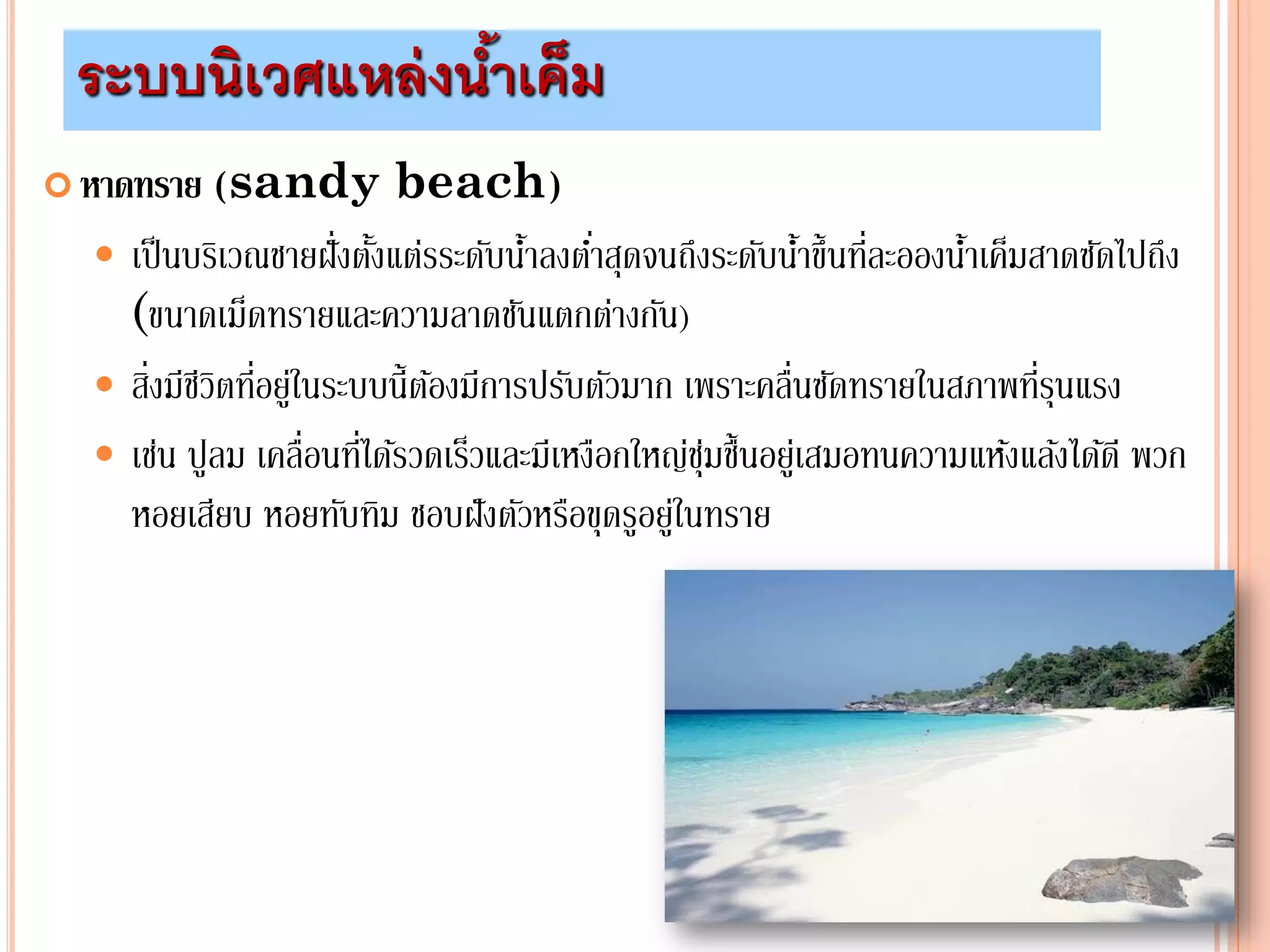  หาดทราย (sandy beach)
 เป็นบริเวณชายฝั่งตั้งแต่รระดับน้าลงต่าสุดจนถึงระดับน้าขึ้นที่ละอองน้าเค็มสาดซัดไปถึง
(ขนาดเม็ดทรายและความลาดชันแตกต่างกัน)
 สิ่งมีชีวิตที่อยู่ในระบบนี้ต้องมีการปรับตัวมาก เพราะคลื่นซัดทรายในสภาพที่รุนแรง
 เช่น ปูลม เคลื่อนที่ได้รวดเร็วและมีเหงือกใหญ่ชุ่มชื้นอยู่เสมอทนความแห้งแล้งได้ดี พวก
หอยเสียบ หอยทับทิม ชอบฝังตัวหรือขุดรูอยู่ในทราย
ระบบนิเวศแหล่งน้าเค็ม
 