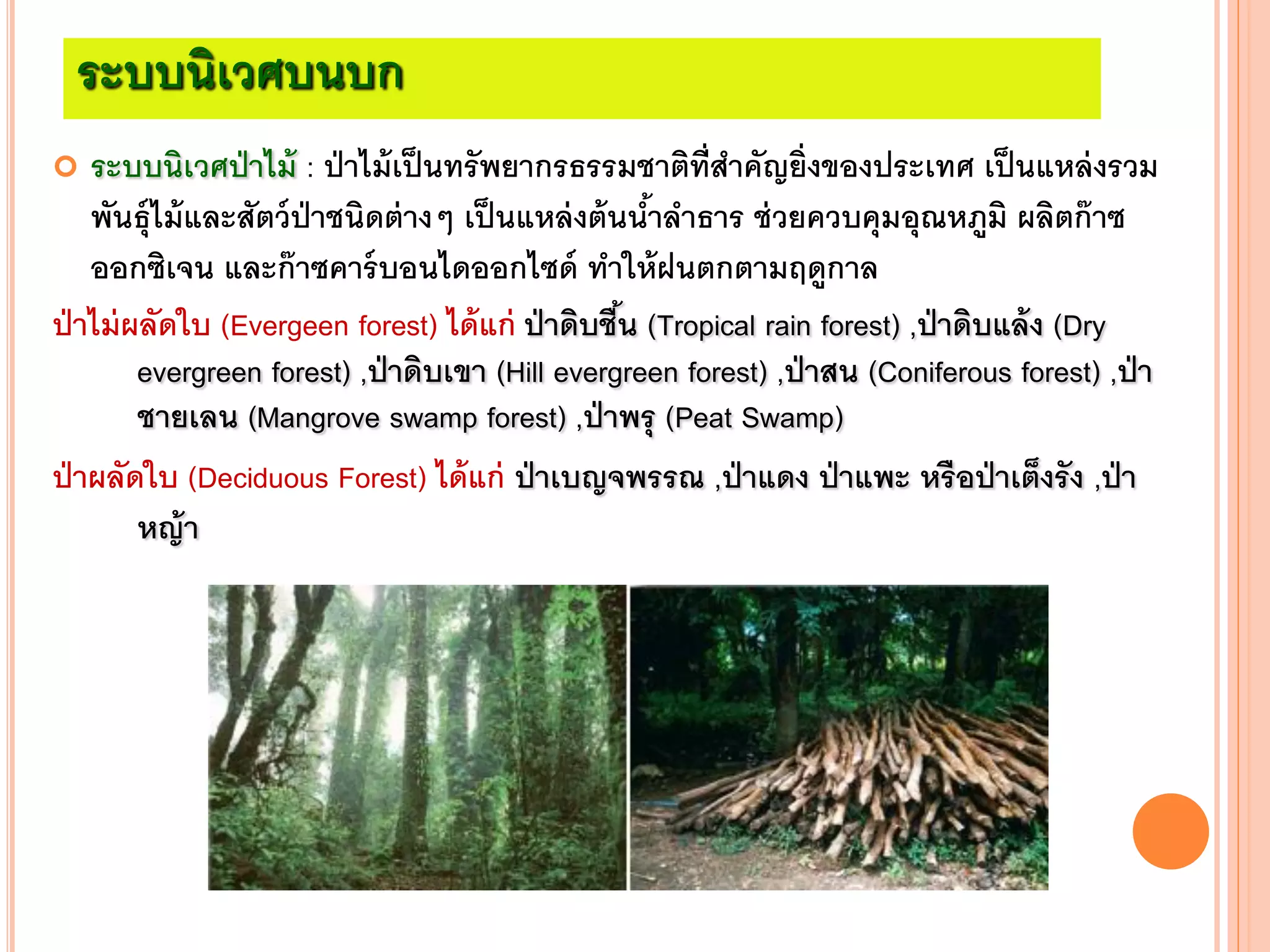 ระบบนิเวศบนบก
 ระบบนิเวศป่าไม้ : ป่าไม้เป็นทรัพยากรธรรมชาติที่สาคัญยิ่งของประเทศ เป็นแหล่งรวม
พันธุ์ไม้และสัตว์ป่าชนิดต่างๆ เป็นแหล่งต้นน้าลาธาร ช่วยควบคุมอุณหภูมิ ผลิตก๊าซ
ออกซิเจน และก๊าซคาร์บอนไดออกไซด์ ทาให้ฝนตกตามฤดูกาล
ป่าไม่ผลัดใบ (Evergeen forest) ได้แก่ ป่าดิบชื้น (Tropical rain forest) ,ป่าดิบแล้ง (Dry
evergreen forest) ,ป่าดิบเขา (Hill evergreen forest) ,ป่าสน (Coniferous forest) ,ป่า
ชายเลน (Mangrove swamp forest) ,ป่าพรุ (Peat Swamp)
ป่าผลัดใบ (Deciduous Forest) ได้แก่ ป่าเบญจพรรณ ,ป่าแดง ป่าแพะ หรือป่าเต็งรัง ,ป่า
หญ้า
 