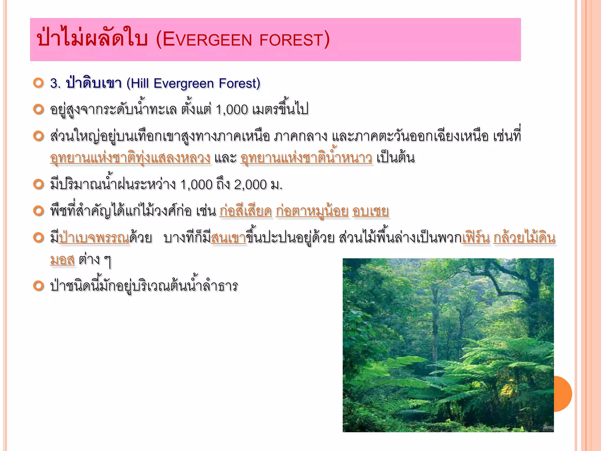  3. ป่าดิบเขา (Hill Evergreen Forest)
 อยู่สูงจากระดับน้าทะเล ตั้งแต่ 1,000 เมตรขึ้นไป
 ส่วนใหญ่อยู่บนเทือกเขาสูงทางภาคเหนือ ภาคกลาง และภาคตะวันออกเฉียงเหนือ เช่นที่
อุทยานแห่งชาติทุ่งแสลงหลวง และ อุทยานแห่งชาติน้าหนาว เป็นต้น
 มีปริมาณน้าฝนระหว่าง 1,000 ถึง 2,000 ม.
 พืชที่สาคัญได้แก่ไม้วงศ์ก่อ เช่น ก่อสีเสียด ก่อตาหมูน้อย อบเชย
 มีป่าเบจพรรณด้วย บางทีก็มีสนเขาขึ้นปะปนอยู่ด้วย ส่วนไม้พื้นล่างเป็นพวกเฟิร์น กล้วยไม้ดิน
มอส ต่าง ๆ
 ป่าชนิดนี้มักอยู่บริเวณต้นน้าลาธาร
ป่าไม่ผลัดใบ (EVERGEEN FOREST)
 