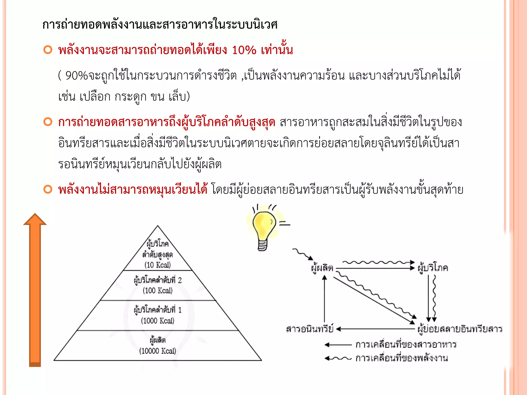 การถ่ายทอดพลังงานและสารอาหารในระบบนิเวศ
 พลังงานจะสามารถถ่ายทอดได้เพียง 10% เท่านัน
( 90%จะถูกใช้ในกระบวนการดารงชีวิต ,เป็นพลังงานความร้อน และบางส่วนบริโภคไม่ได้
เช่น เปลือก กระดูก ขน เล็บ)
 การถ่ายทอดสารอาหารถึงผู้บริโภคล้าดับสูงสุด สารอาหารถูกสะสมในสิ่งมีชีวิตในรูปของ
อินทรียสารและเมื่อสิ่งมีชีวิตในระบบนิเวศตายจะเกิดการย่อยสลายโดยจุลินทรีย์ได้เป็นสา
รอนินทรีย์หมุนเวียนกลับไปยังผู้ผลิต
 พลังงานไม่สามารถหมุนเวียนได้ โดยมีผู้ย่อยสลายอินทรียสารเป็นผู้รับพลังงานขันสุดท้าย
 