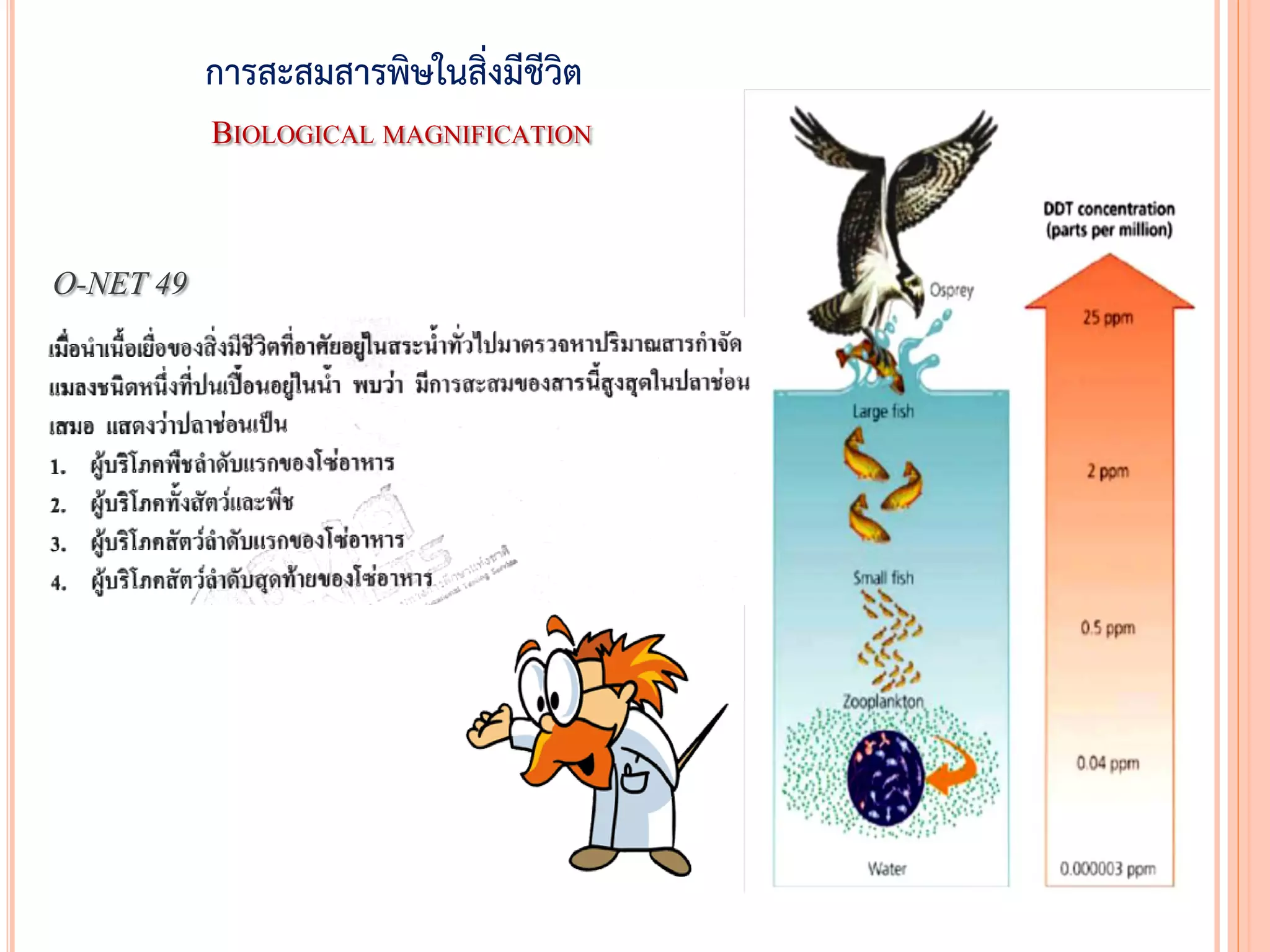 การสะสมสารพิษในสิ่งมีชีวิต
BIOLOGICAL MAGNIFICATION
O-NET 49
 