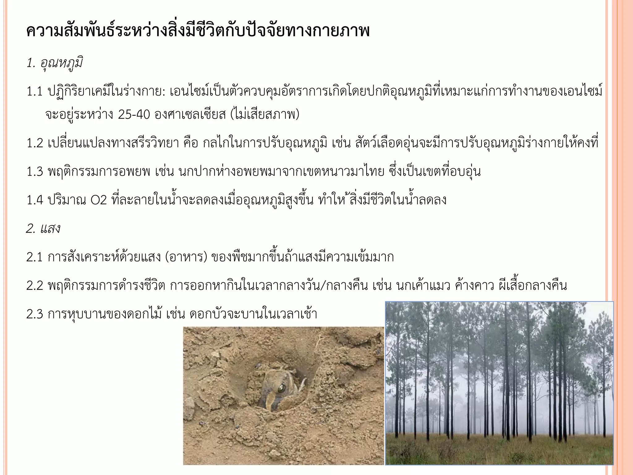ความสัมพันธ์ระหว่างสิ่งมีชีวิตกับปัจจัยทางกายภาพ
1. อุณหภูมิ
1.1 ปฏิกิริยาเคมีในร่างกาย: เอนไซม์เป็นตัวควบคุมอัตราการเกิดโดยปกติอุณหภูมิที่เหมาะแก่การทางานของเอนไซม์
จะอยู่ระหว่าง 25-40 องศาเซลเซียส (ไม่เสียสภาพ)
1.2 เปลี่ยนแปลงทางสรีรวิทยา คือ กลไกในการปรับอุณหภูมิ เช่น สัตว์เลือดอุ่นจะมีการปรับอุณหภูมิร่างกายให้คงที่
1.3 พฤติกรรมการอพยพ เช่น นกปากห่างอพยพมาจากเขตหนาวมาไทย ซึ่งเป็นเขตที่อบอุ่น
1.4 ปริมาณ O2 ที่ละลายในนาจะลดลงเมื่ออุณหภูมิสูงขึน ทาให ้สิ่งมีชีวิตในนาลดลง
2. แสง
2.1 การสังเคราะห์ด้วยแสง (อาหาร) ของพืชมากขึนถ้าแสงมีความเข้มมาก
2.2 พฤติกรรมการดารงชีวิต การออกหากินในเวลากลางวัน/กลางคืน เช่น นกเค้าแมว ค้างคาว ผีเสือกลางคืน
2.3 การหุบบานของดอกไม้ เช่น ดอกบัวจะบานในเวลาเช้า
 