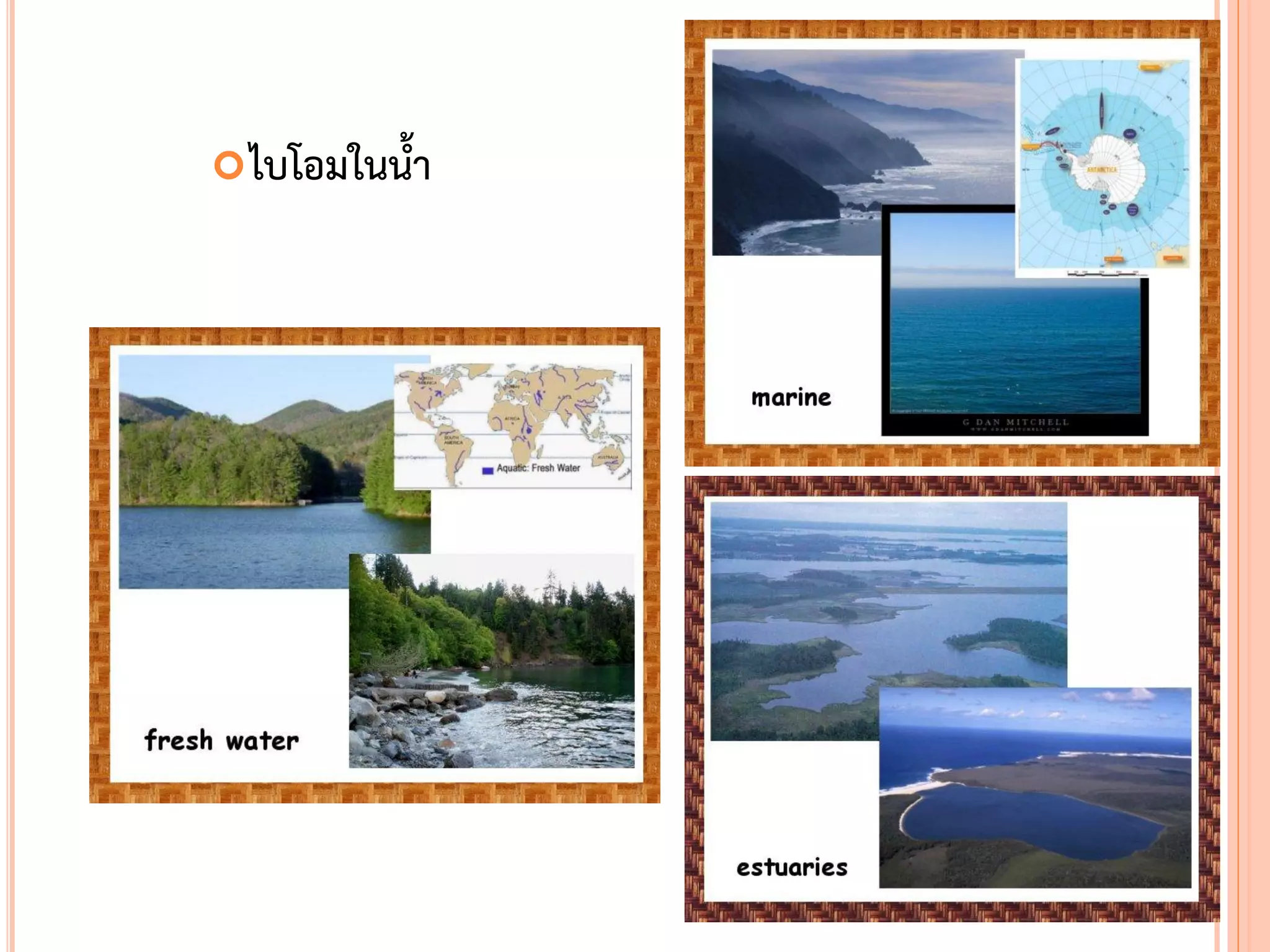 ไบโอมในน้า
 