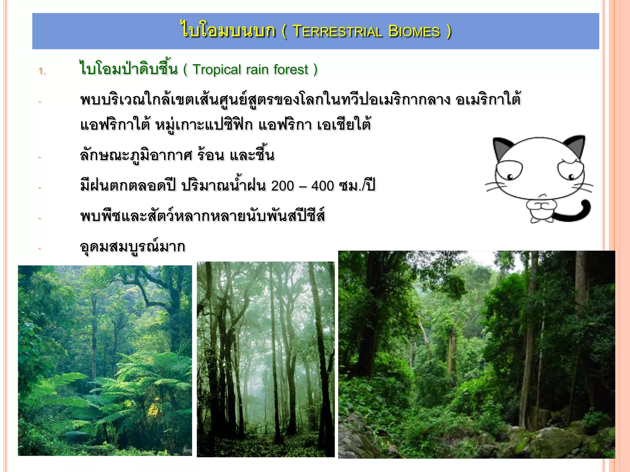 ไบโอมบนบก ( TERRESTRIAL BIOMES )
1. ไบโอมป่าดิบชื้น ( Tropical rain forest )
- พบบริเวณใกล้เขตเส้นศูนย์สูตรของโลกในทวีปอเมริกากลาง อเมริกาใต้
แอฟริกาใต้ หมู่เกาะแปซิฟิก แอฟริกา เอเชียใต้
- ลักษณะภูมิอากาศ ร้อน และชื้น
- มีฝนตกตลอดปี ปริมาณน้าฝน 200 – 400 ซม./ปี
- พบพืชและสัตว์หลากหลายนับพันสปีชีส์
- อุดมสมบูรณ์มาก
 
