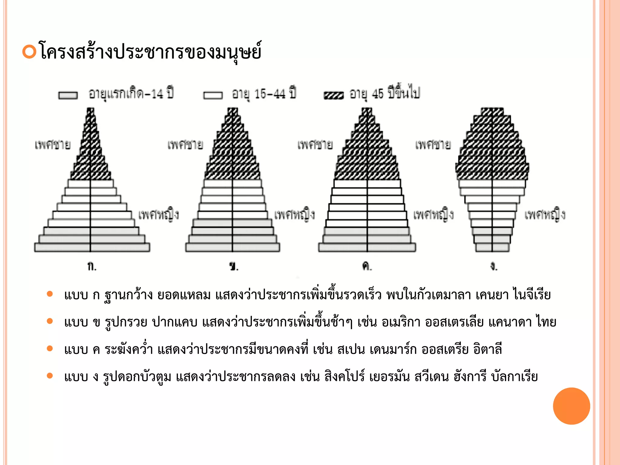 โครงสร้างประชากรของมนุษย์
 แบบ ก ฐานกว้าง ยอดแหลม แสดงว่าประชากรเพิ่มขึนรวดเร็ว พบในกัวเตมาลา เคนยา ไนจีเรีย
 แบบ ข รูปกรวย ปากแคบ แสดงว่าประชากรเพิ่มขึนช้าๆ เช่น อเมริกา ออสเตรเลีย แคนาดา ไทย
 แบบ ค ระฆังคว่้า แสดงว่าประชากรมีขนาดคงที่ เช่น สเปน เดนมาร์ก ออสเตรีย อิตาลี
 แบบ ง รูปดอกบัวตูม แสดงว่าประชากรลดลง เช่น สิงคโปร์ เยอรมัน สวีเดน ฮังการี บัลกาเรีย
 