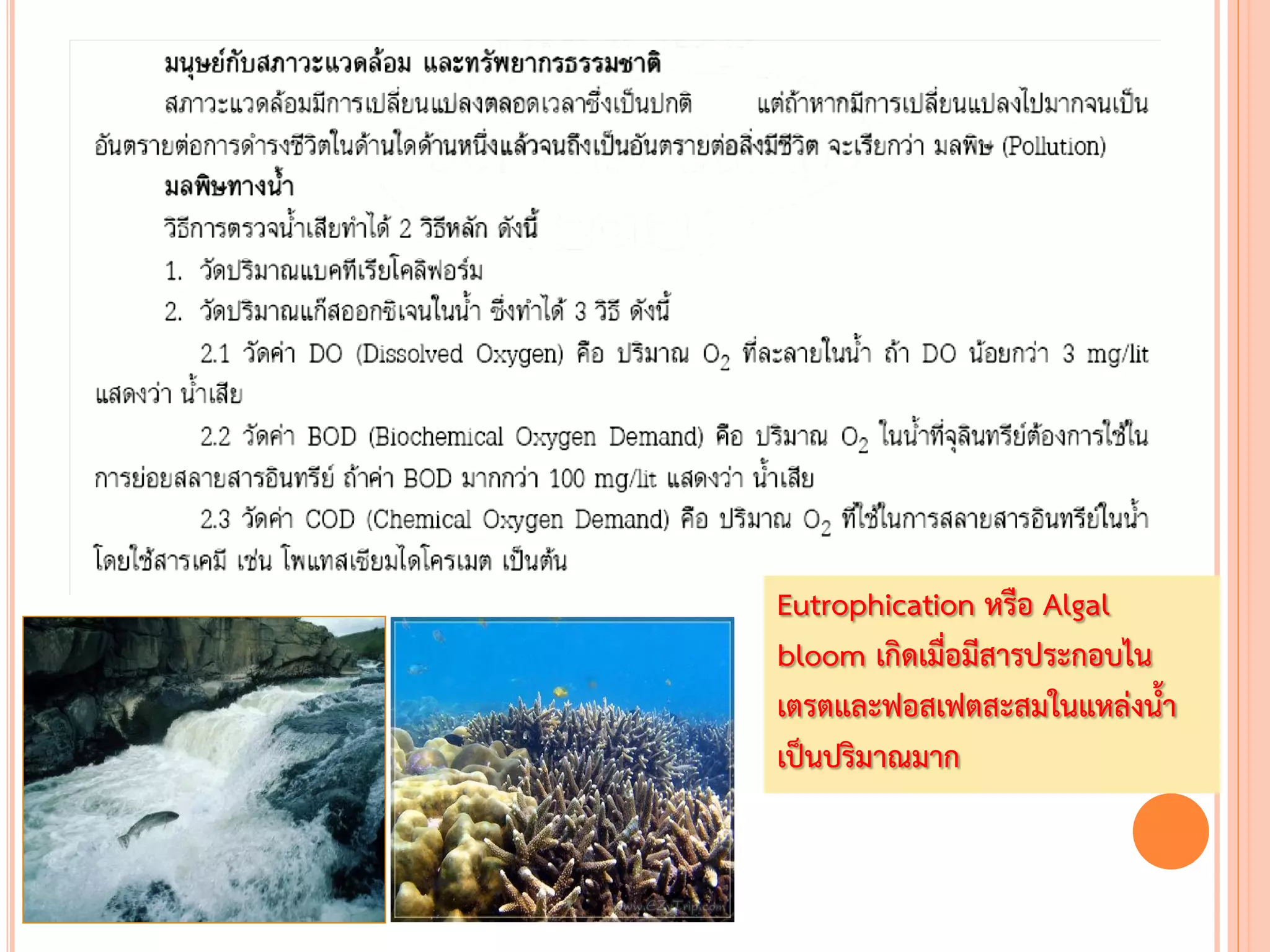 Eutrophication หรือ Algal
bloom เกิดเมื่อมีสารประกอบไน
เตรตและฟอสเฟตสะสมในแหล่งน้า
เป็นปริมาณมาก
 