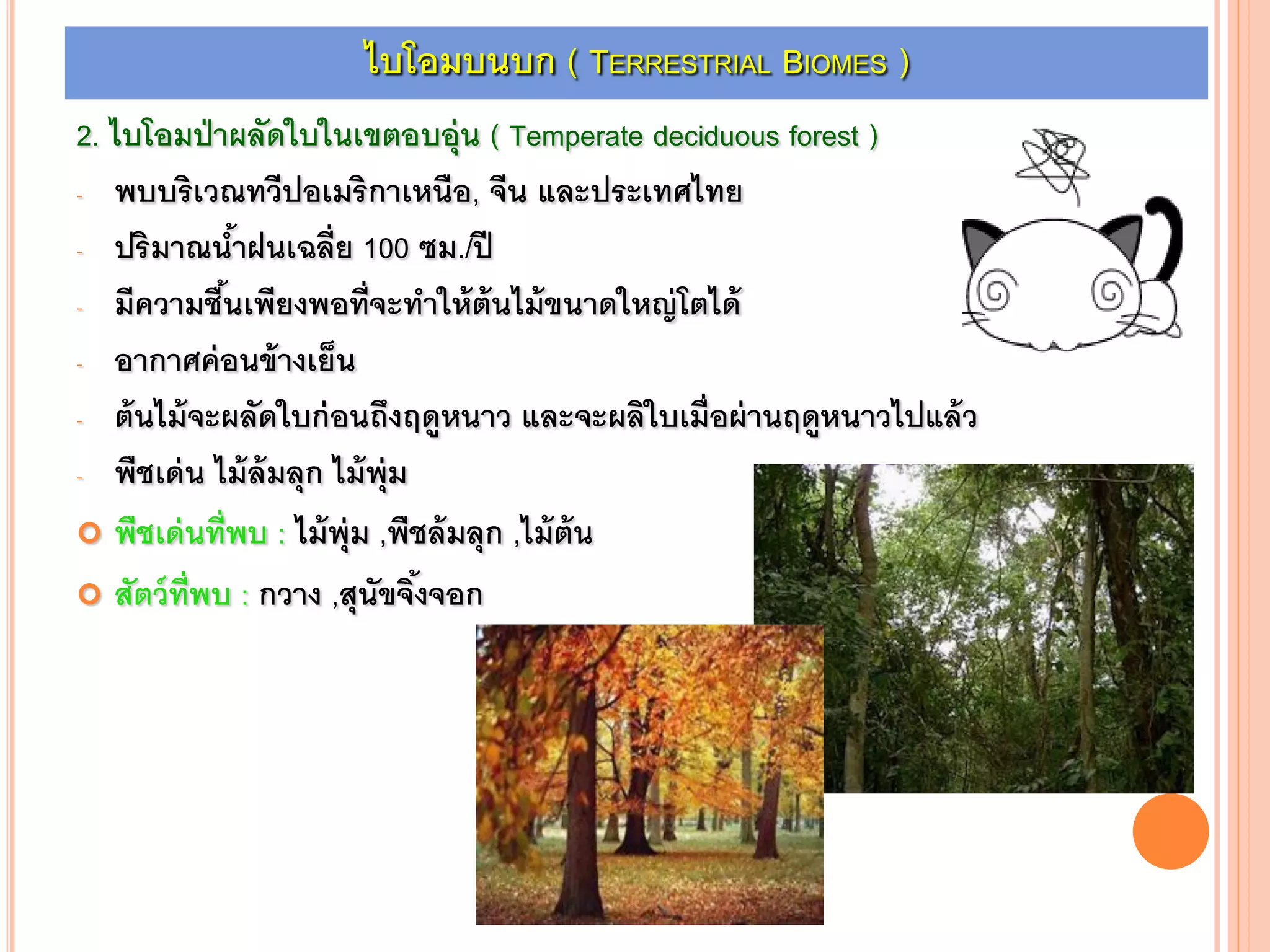 2. ไบโอมป่าผลัดใบในเขตอบอุ่น ( Temperate deciduous forest )
- พบบริเวณทวีปอเมริกาเหนือ, จีน และประเทศไทย
- ปริมาณน้าฝนเฉลี่ย 100 ซม./ปี
- มีความชื้นเพียงพอที่จะทาให้ต้นไม้ขนาดใหญ่โตได้
- อากาศค่อนข้างเย็น
- ต้นไม้จะผลัดใบก่อนถึงฤดูหนาว และจะผลิใบเมื่อผ่านฤดูหนาวไปแล้ว
- พืชเด่น ไม้ล้มลุก ไม้พุ่ม
 พืชเด่นที่พบ : ไม้พุ่ม ,พืชล้มลุก ,ไม้ต้น
 สัตว์ที่พบ : กวาง ,สุนัขจิ้งจอก
ไบโอมบนบก ( TERRESTRIAL BIOMES )
 