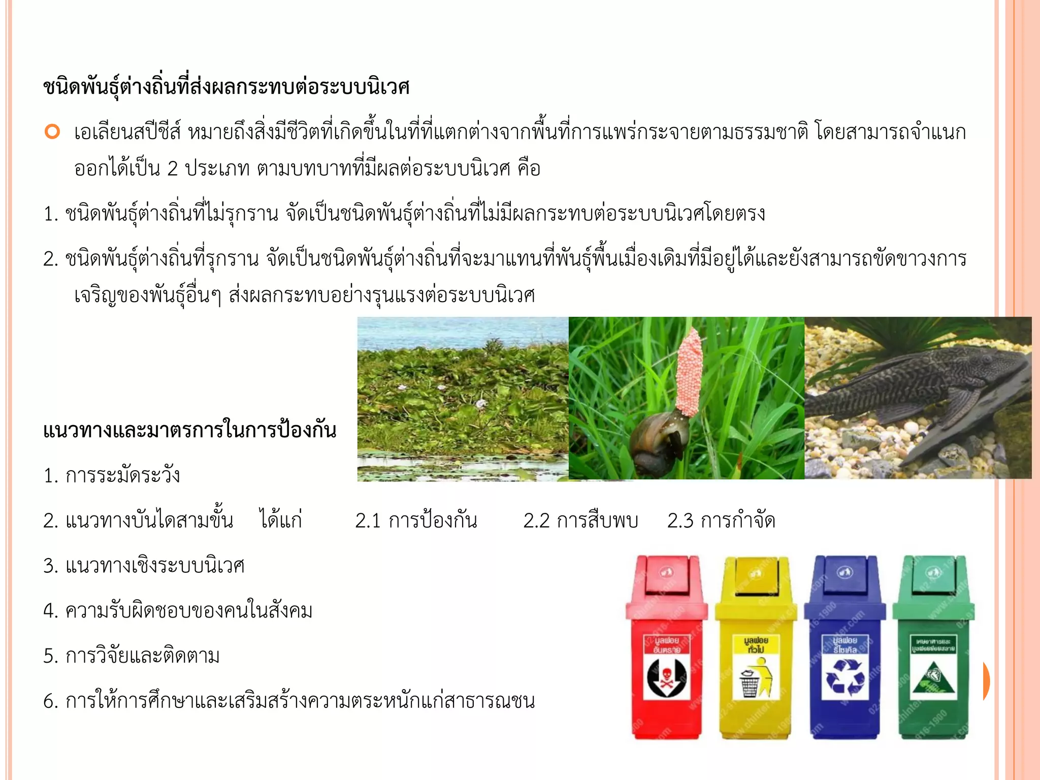 ชนิดพันธุ์ต่างถิ่นที่ส่งผลกระทบต่อระบบนิเวศ
 เอเลียนสปีชีส์ หมายถึงสิ่งมีชีวิตที่เกิดขึนในที่ที่แตกต่างจากพืนที่การแพร่กระจายตามธรรมชาติ โดยสามารถจาแนก
ออกได้เป็น 2 ประเภท ตามบทบาทที่มีผลต่อระบบนิเวศ คือ
1. ชนิดพันธุ์ต่างถิ่นที่ไม่รุกราน จัดเป็นชนิดพันธุ์ต่างถิ่นที่ไม่มีผลกระทบต่อระบบนิเวศโดยตรง
2. ชนิดพันธุ์ต่างถิ่นที่รุกราน จัดเป็นชนิดพันธุ์ต่างถิ่นที่จะมาแทนที่พันธุ์พืนเมื่องเดิมที่มีอยู่ได้และยังสามารถขัดขาวงการ
เจริญของพันธุ์อื่นๆ ส่งผลกระทบอย่างรุนแรงต่อระบบนิเวศ
แนวทางและมาตรการในการป้องกัน
1. การระมัดระวัง
2. แนวทางบันไดสามขัน ได้แก่ 2.1 การป้องกัน 2.2 การสืบพบ 2.3 การกาจัด
3. แนวทางเชิงระบบนิเวศ
4. ความรับผิดชอบของคนในสังคม
5. การวิจัยและติดตาม
6. การให้การศึกษาและเสริมสร้างความตระหนักแก่สาธารณชน
 