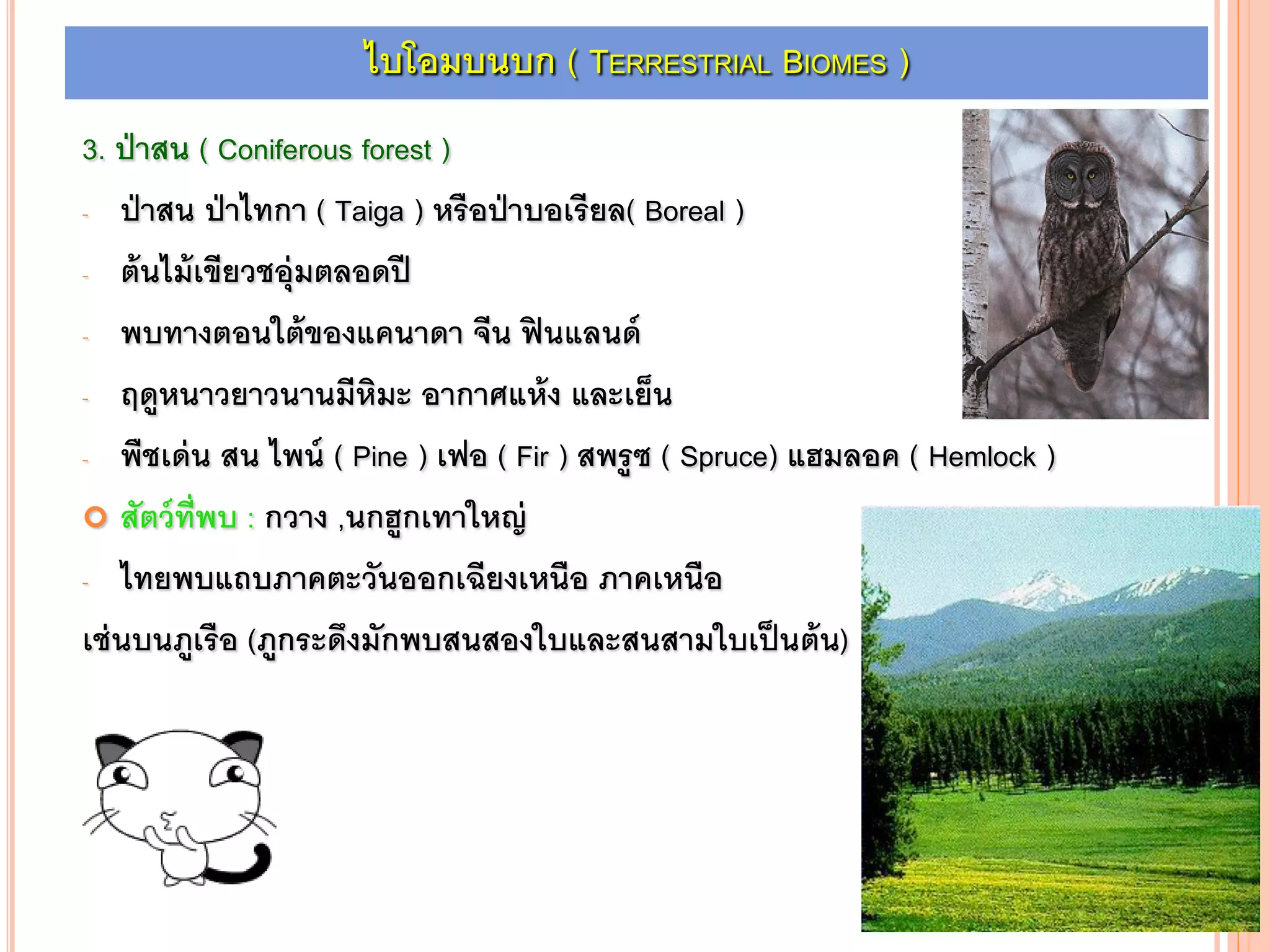 3. ป่าสน ( Coniferous forest )
- ป่าสน ป่าไทกา ( Taiga ) หรือป่าบอเรียล( Boreal )
- ต้นไม้เขียวชอุ่มตลอดปี
- พบทางตอนใต้ของแคนาดา จีน ฟินแลนด์
- ฤดูหนาวยาวนานมีหิมะ อากาศแห้ง และเย็น
- พืชเด่น สน ไพน์ ( Pine ) เฟอ ( Fir ) สพรูซ ( Spruce) แฮมลอค ( Hemlock )
 สัตว์ที่พบ : กวาง ,นกฮูกเทาใหญ่
- ไทยพบแถบภาคตะวันออกเฉียงเหนือ ภาคเหนือ
เช่นบนภูเรือ (ภูกระดึงมักพบสนสองใบและสนสามใบเป็นต้น)
ไบโอมบนบก ( TERRESTRIAL BIOMES )
 