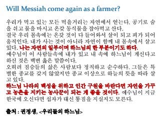 Will Messiah come again as a farmer?
우리가 먹고 있는 모든 먹을거리는 자연에서 얻는다. 공기로 숨
을 쉬고 물을 마시고 온갖 동식물을 잡아먹고 산다.
결국 우리 몸속에는 온갖 것이 다 들어와서 살이 되고 피가 되어
움직인다. 내가 사는 것이 아니라 자연이 함께 내 몸속에서 살고
있다. 나는 자연의 일부이며 하느님의 한 부분이기도 하다.
예수님이 이 사람들속에 내가 있고 내 속에 하느님이 계신다고
하신 것은 백번 옳은 말씀이다.
오히려 짐승들의 삶은 사람보다 정직하고 순수하다. 그들은 특
별한 종교를 갖지 않았지만 종교 이상으로 하늘의 뜻을 따라 살
고 있다.
하느님 나라의 백성을 위하고 인간 구원을 바란다면 자연을 가꾸
고 농촌을 지키는 농사꾼이 되는 게 좋을 것이다. 예수님이 지금
한국에 오신다면 십자가 대신 똥짐을 지실지도 모른다.
출처 : 권정생, <우리들의 하느님>
 