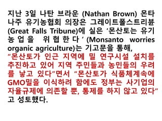 미국 GM작물 재배면적비율 증가 추이
 