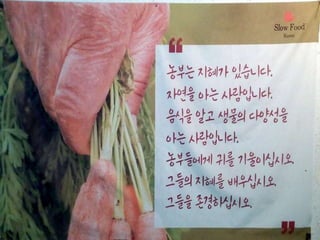 우리 땅의 생명에 관한
쓰라린 기억, 천우
천우는 지난 2012년 지나친 미국산 쇠
고기 수입으로 인해 소값이 장기 폭락할
당시 치솟은 사료비를 감당하지 못한 농
부가 기르던 소를 굶겨죽일 수 밖에 없
는 일이 벌어졌을 때 살아남은 젖소다.
자유무역협정이 강요한 죽음앞에서 많
은 사람들은 깊은 충격을 받았다. 한국
은 이를 계기로 동물보호법을 제정했다.
한없는 FTA로 인해 수많은 한우가 사라지고 있다. 농부들도 사라지고 있다.
천우는 (강대국과의) FTA에 짓밟힌 한국농업의 비극과 눈물을 간직한 소다.
이럼에도 불구, 환태평양경제동반자협정(TPP)를 포함해서 FTA는 여전히 농
촌 공동체들의 숨통을 죄고 있다.
천우는 현재 충남 논산시에 위치한 이승숙씨의 지산농장에서 자라고 있다.
지산농장은 또한 연산오계를 기르고 있다.
천연기념물 265호로 지정된 연산오계는 2013년 8월26일 슬로푸드생명다
양성재단의 맛의 방주 목록에 이름을 올렸다.
 