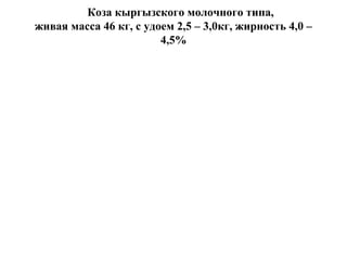 Коза кыргызского молочного типа,
живая масса 46 кг, с удоем 2,5 – 3,0кг, жирность 4,0 –
4,5%
 