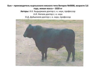 Бык – производитель кыргызского мясного типа Ветерок №0008, возрасте 3,6
года, живая масса – 1020 кг
Авторы: А.К. Кыдырмаев доктор с.-х. наук, профессор
А.И. Ногоев доктор с.-х. наук
О.Д. Дуйшекеев доктор с.-х. наук, профессор
А.Х. Абдрасулов доктор с.-х. наук, профессор и др.
 