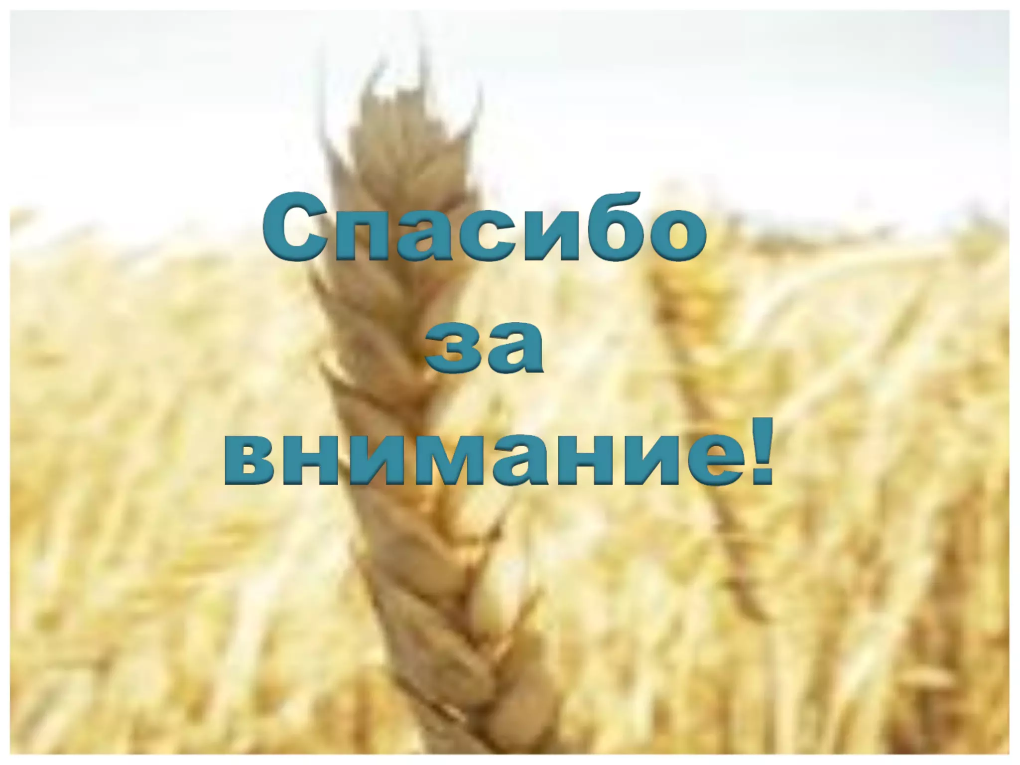 презентация по патриотизму