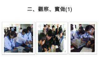 二、觀察、實做(1)
 