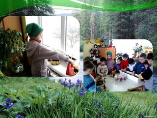 презентація  роботи  вихователя  турчик  а.в.