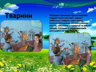 презентація  роботи  вихователя  турчик  а.в.