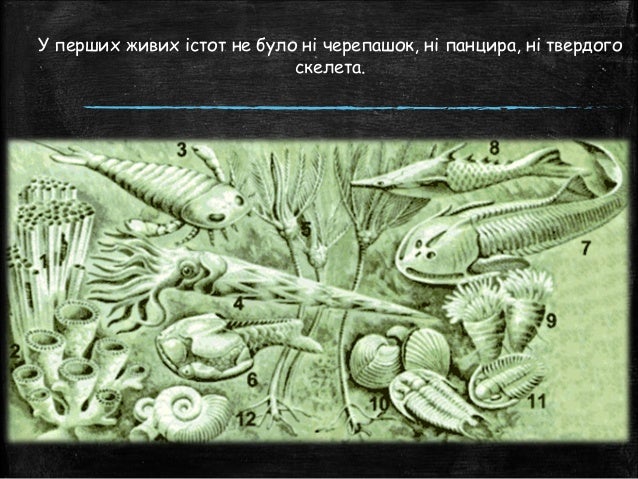 архейська ера