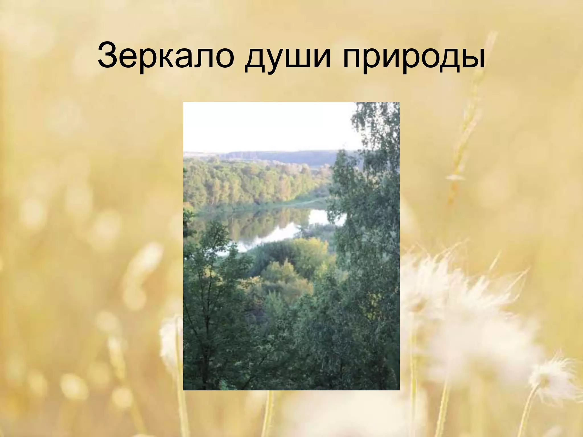 Зеркало души природы
 
