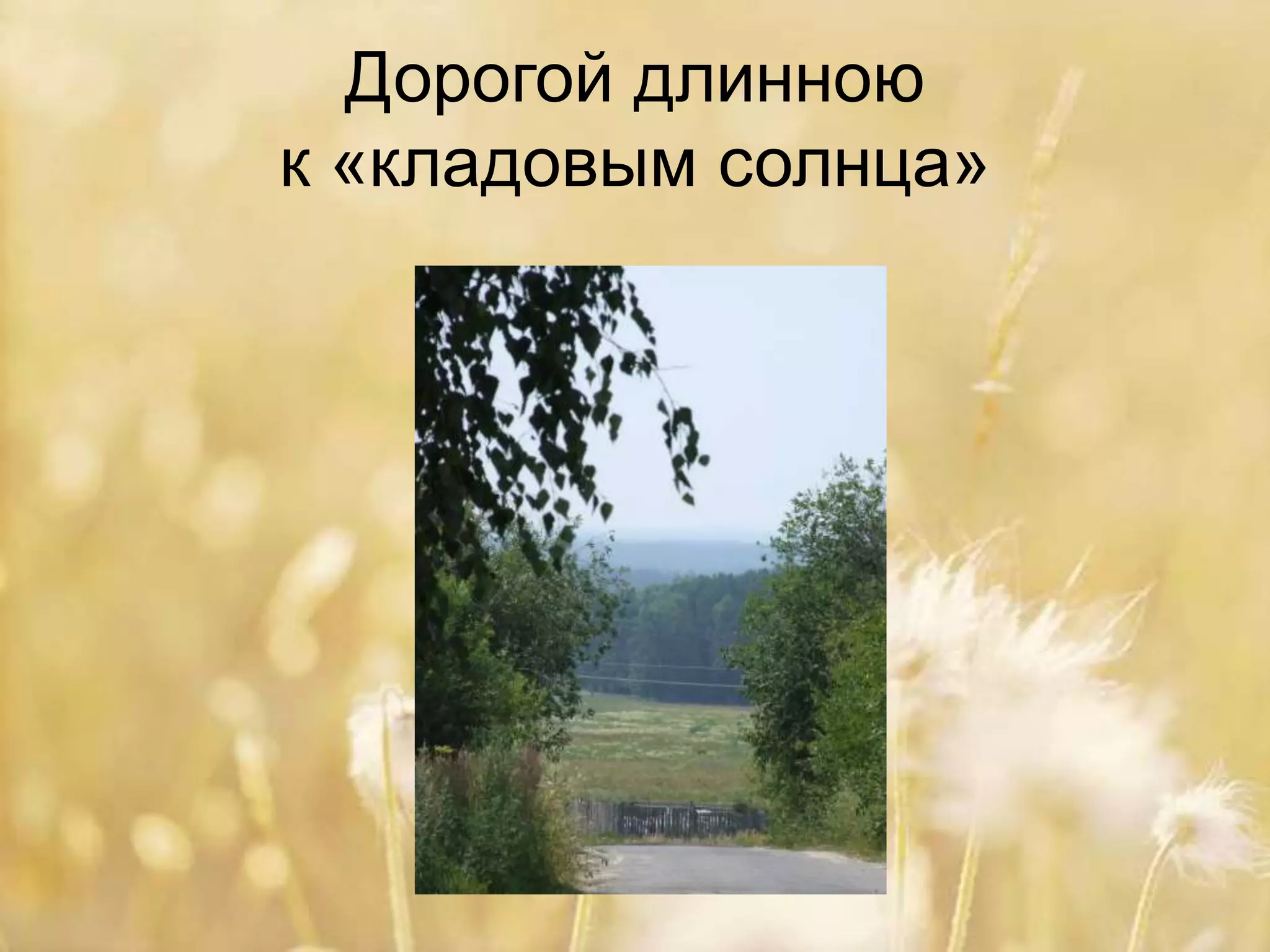 Дорогой длинною
к «кладовым солнца»
 