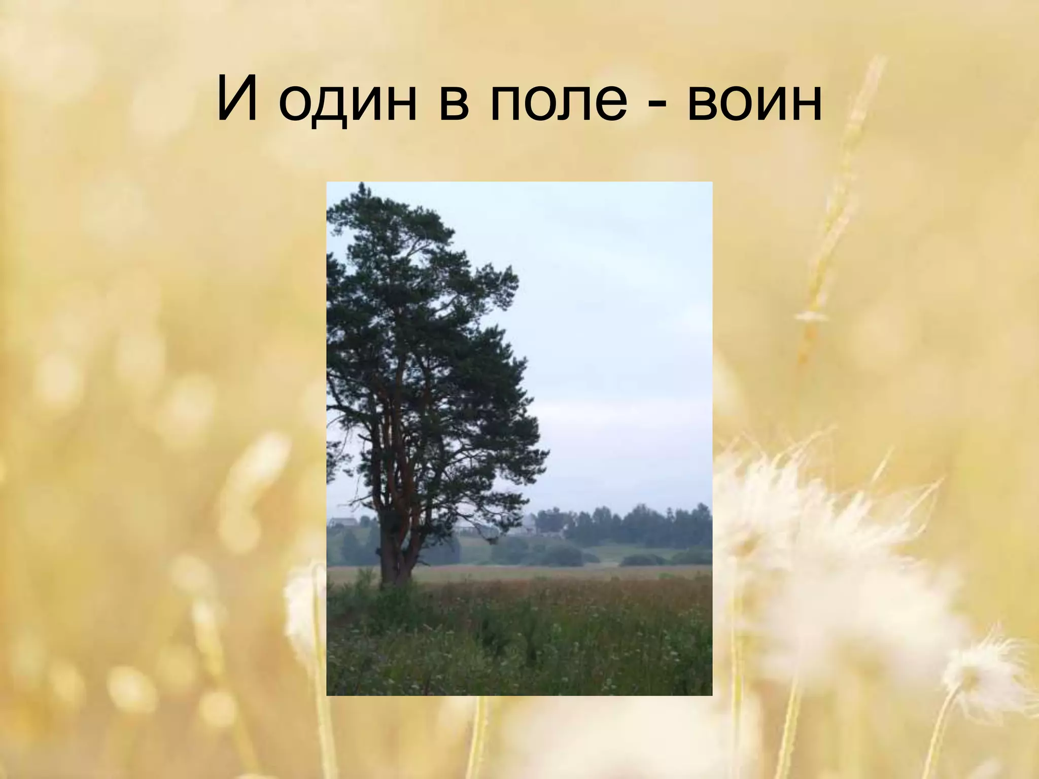 И один в поле - воин
 