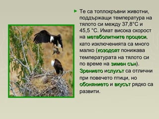 ► Те са топлокръвни животни,Те са топлокръвни животни,
поддържащи температура наподдържащи температура на
тялото си между 37,8°C итялото си между 37,8°C и
45,5 °C. Имат висока скорост45,5 °C. Имат висока скорост
на на метаболитните процесиметаболитните процеси,,
като изключенията са многокато изключенията са много
малко (малко (козодояткозодоят понижава понижава
температурата на тялото ситемпературата на тялото си
по време на по време на зимен сънзимен сън). ). 
ЗрениетоЗрението и ислухътслухът са отлични са отлични
при повечето птици, но при повечето птици, но 
обоняниетообонянието и  и вкусътвкусът рядко са рядко са
развити.развити.
 