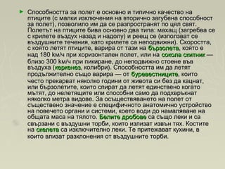 ► Способността за полет е основно и типично качество наСпособността за полет е основно и типично качество на
птиците (с малки изключения на вторично загубена способностптиците (с малки изключения на вторично загубена способност
за полет), позволило им да се разпространят по цял свят.за полет), позволило им да се разпространят по цял свят.
Полетът на птиците бива основно два типа: махащ (загребва сеПолетът на птиците бива основно два типа: махащ (загребва се
с крилете въздух назад и надолу) и реещ се (използват сес крилете въздух назад и надолу) и реещ се (използват се
въздушните течения, като крилете са неподвижни). Скоростта,въздушните течения, като крилете са неподвижни). Скоростта,
с която летят птиците, варира от тази на с която летят птиците, варира от тази на бързолетабързолета, която е, която е
над 180 kм/ч при хоризонтален полет, или на над 180 kм/ч при хоризонтален полет, или на сокола скитниксокола скитник — —
близо 300 kм/ч при пикиране, до неподвижно стоене въвблизо 300 kм/ч при пикиране, до неподвижно стоене във
въздуха (въздуха (керкенезкеркенез, колибри). Способността им да летят, колибри). Способността им да летят
продължително също варира — от продължително също варира — от буревестницитебуревестниците, които, които
често прекарват няколко години от живота си без да кацнат,често прекарват няколко години от живота си без да кацнат,
или бързолетите, които спират да летят единствено когатоили бързолетите, които спират да летят единствено когато
мътят, до нелетящите или способни само да подхвръкнатмътят, до нелетящите или способни само да подхвръкнат
няколко метра видове. За осъществяването на полет отняколко метра видове. За осъществяването на полет от
съществено значение е специфичното анатомично устройствосъществено значение е специфичното анатомично устройство
на повечето органи и системи, което води до намаляване нана повечето органи и системи, което води до намаляване на
общата маса на тялото. общата маса на тялото. Белите дробовеБелите дробове са също леки и са са също леки и са
свързани с въздушни торби, които излизат извън тях. Коститесвързани с въздушни торби, които излизат извън тях. Костите
на на скелетаскелета са изключително леки. Те притежават кухини, в са изключително леки. Те притежават кухини, в
които влизат разклонения от въздушните торби.които влизат разклонения от въздушните торби.
 