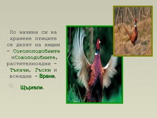 По начина си наПо начина си на
хранене птицитехранене птиците
се делят на хищнисе делят на хищни
-- СоколоподобнитеСоколоподобните
ииСовоподобнитеСовоподобните,,
растителноядни -растителноядни -
ТъкачиТъкачи,, ГъскиГъски ии
всеядни -всеядни -  ВраниВрани, , 
ЩъркелиЩъркели..
 