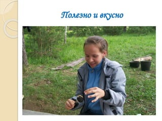 Полезно и вкусно
 