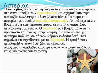 ΑστερίαςΟ αστερίας είναι η κοινή ονομασία για τα ζώα που ανήκουν 
στη συνομοταξία των Εχινόδερμων και σχηματίζουν την 
ομοταξία τωνΑστεροειδών (Asteroidea). Το σώμα του 
αστερία παρουσιάζει ακτινωτή συμμετρία. Τυπικά έχει πέντε 
βραχίονες ή και περισσότερους, οι οποίοι σχηματίζουν 
πεντάκτινη συμμετρία. Ο σκελετός του βοηθά μόνο στην 
προστασία του και όχι στην κίνηση, η οποία γίνεται με 
σύστημα ποδιών- σωλήνων. Φέρουν ενδοσκελετό, που 
σημαίνει ότι σχετίζονται με τα Χορδωτά. Η τροφή τους 
περιλαμβάνει συνήθως ζώα με κέλυφος, 
όπως μύδια, αχιβάδες και στρείδια. Απαντώνται σε όλους 
τους ωκεανούς του πλανήτη.
 