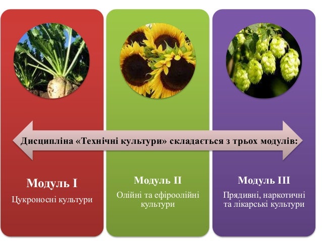 курс технічні культури
