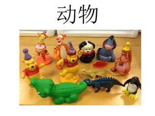 动物
 