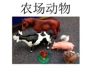 农场动物
 