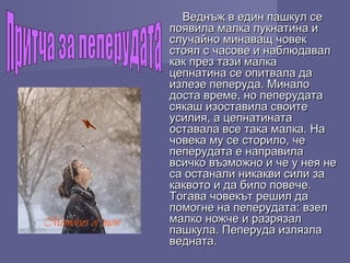 Веднъж в един пашкул сеВеднъж в един пашкул се
появила малка пукнатина ипоявила малка пукнатина и
случайно минаващ човекслучайно минаващ човек
стоял с часове и наблюдавалстоял с часове и наблюдавал
как през тази малкакак през тази малка
цепнатина се опитвала дацепнатина се опитвала да
излезе пеперуда. Миналоизлезе пеперуда. Минало
доста време, но пеперудатадоста време, но пеперудата
сякаш изоставила своитесякаш изоставила своите
усилия, а цепнатинатаусилия, а цепнатината
оставала все така малка. Наоставала все така малка. На
човека му се сторило, чечовека му се сторило, че
пеперудата е направилапеперудата е направила
всичко възможно и че у нея невсичко възможно и че у нея не
са останали никакви сили заса останали никакви сили за
каквото и да било повече.каквото и да било повече.
Тогава човекът решил даТогава човекът решил да
помогне на пеперудата: взелпомогне на пеперудата: взел
малко ножче и разрязалмалко ножче и разрязал
пашкула. Пеперуда излязлапашкула. Пеперуда излязла
ведната.ведната.
 