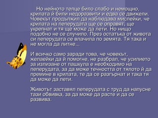 Но нейното телце било слабо и немощно,Но нейното телце било слабо и немощно,
крилата й били недоразвити и едва се движели.крилата й били недоразвити и едва се движели.
Човекът продължил да наблюдава мислейки, чеЧовекът продължил да наблюдава мислейки, че
крилата на пеперудата ще се оправят, щекрилата на пеперудата ще се оправят, ще
укрепнат и тя ще може да лети. Но нищоукрепнат и тя ще може да лети. Но нищо
подобно не се случило. През остатъка от животаподобно не се случило. През остатъка от живота
си пеперудата се влачила по земята. Тя така иси пеперудата се влачила по земята. Тя така и
не могла да литне...не могла да литне...
И всичко само заради това, че човекът,И всичко само заради това, че човекът,
желаейки да й помогне, не разбрал, че усилиетожелаейки да й помогне, не разбрал, че усилието
за излизане от пашкула е необходимо наза излизане от пашкула е необходимо на
пеперудата, за да може течността от тялото й дапеперудата, за да може течността от тялото й да
премине в крилата, те да се разгърнат и така тяпремине в крилата, те да се разгърнат и така тя
да може да лети.да може да лети.
Животът заставял пеперудата с труд да напуснеЖивотът заставял пеперудата с труд да напусне
тази обвивка, за да може да расте и да сетази обвивка, за да може да расте и да се
развива.развива.
 