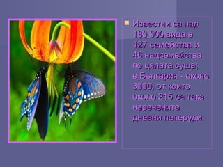  Известни са надИзвестни са над
180 000 вида в180 000 вида в
127 семейства и127 семейства и
46 надсемейства46 надсемейства
по цялата суша;по цялата суша;
в България - околов България - около
3000, от които3000, от които
около 215 са такаоколо 215 са така
нареченитенаречените
дневни пеперуди.дневни пеперуди.
 