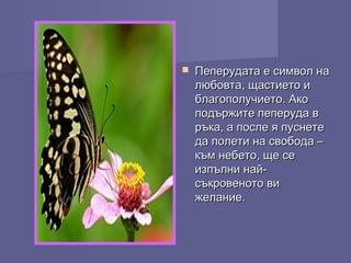  Пеперудата е символ наПеперудата е символ на
любовта, щастието илюбовта, щастието и
благополучието. Акоблагополучието. Ако
подържите пеперуда вподържите пеперуда в
ръка, а после я пуснетеръка, а после я пуснете
да полети на свобода –да полети на свобода –
към небето, ще секъм небето, ще се
изпълни най-изпълни най-
съкровеното висъкровеното ви
желание.желание.
 