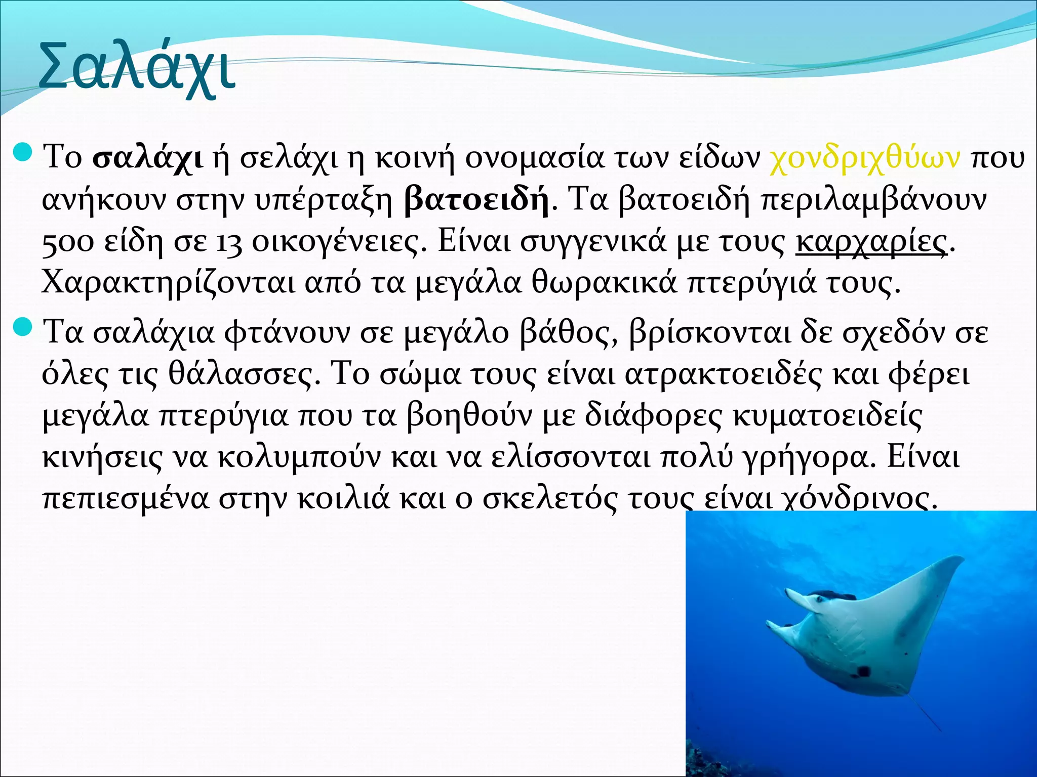 Σαλάχι
Το σαλάχι ή σελάχι η κοινή ονομασία των είδων χονδριχθύων που 
ανήκουν στην υπέρταξη βατοειδή. Τα βατοειδή περιλαμβάνουν 
500 είδη σε 13 οικογένειες. Είναι συγγενικά με τους καρχαρίες. 
Χαρακτηρίζονται από τα μεγάλα θωρακικά πτερύγιά τους.
Τα σαλάχια φτάνουν σε μεγάλο βάθος, βρίσκονται δε σχεδόν σε 
όλες τις θάλασσες. Το σώμα τους είναι ατρακτοειδές και φέρει 
μεγάλα πτερύγια που τα βοηθούν με διάφορες κυματοειδείς 
κινήσεις να κολυμπούν και να ελίσσονται πολύ γρήγορα. Είναι 
πεπιεσμένα στην κοιλιά και ο σκελετός τους είναι χόνδρινος.
 